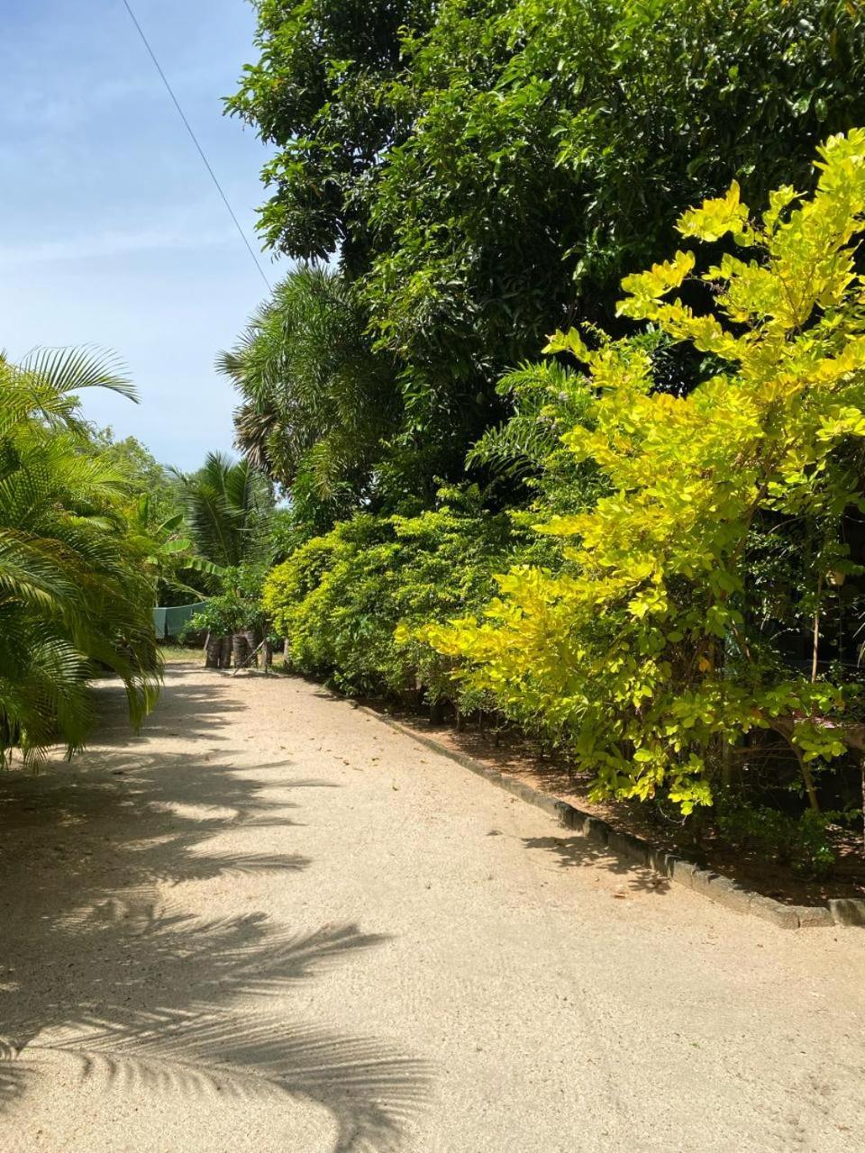 Elena Garden Resort And Restaurant Trincomalee Exterior photo
